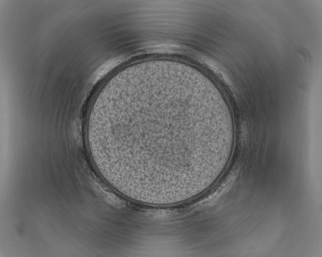 X0000110940970200907101243