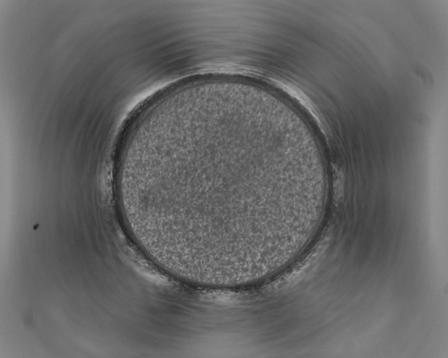 X0000110940971200907101243