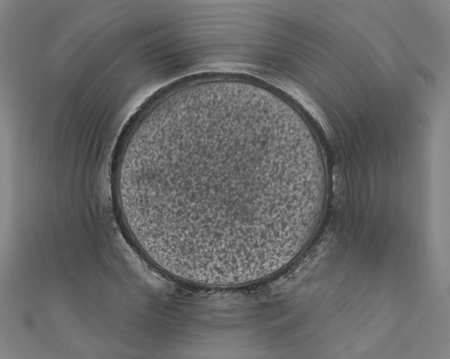 X0000110940972200907101243