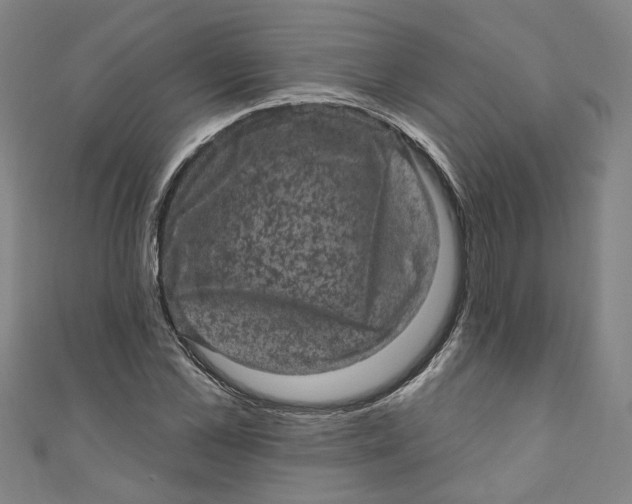 X0000110940973200907101243