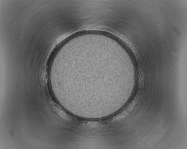 X0000110940974200907101243