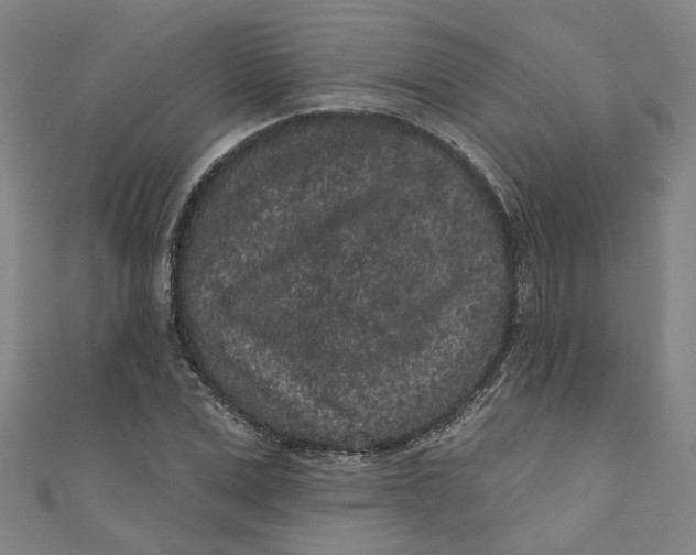 X0000110940975200907101243