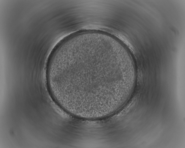 X0000110940976200907101243