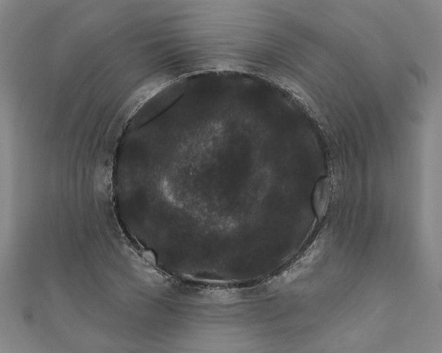 X0000110940977200907101243