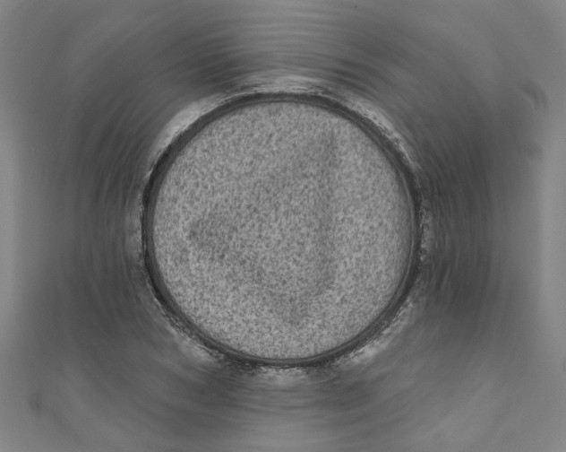 X0000110940978200907101243