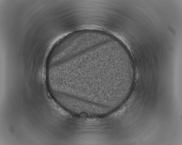 X0000110940979200907101243