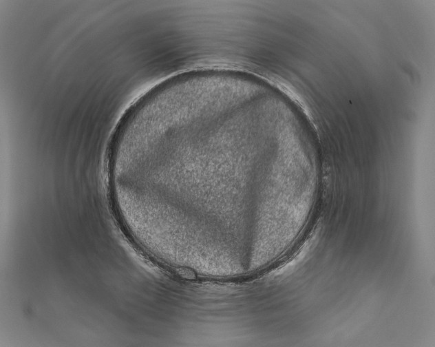 X0000110940981200907101243