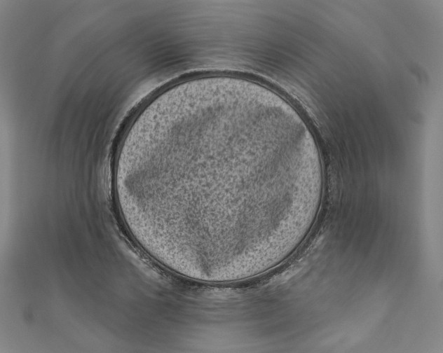 X0000110940982200907101243