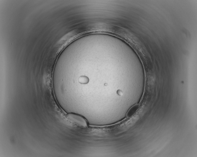 X0000110940985200907101243