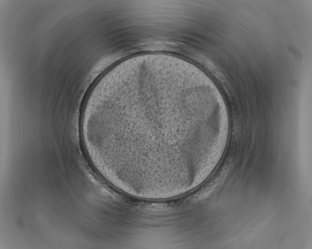 X0000110940986200907101243