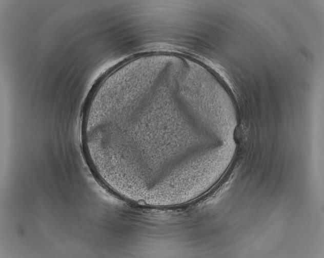 X0000110940987200907101243