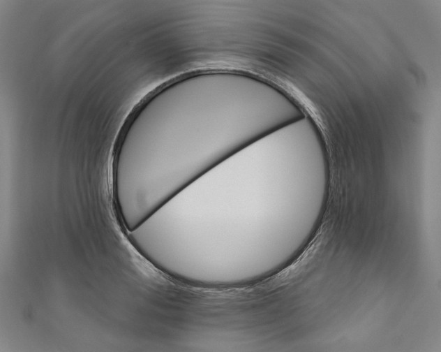 X0000110940988200907101243