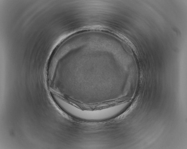 X0000110940989200907101243