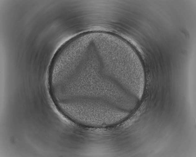 X0000110940991200907101243