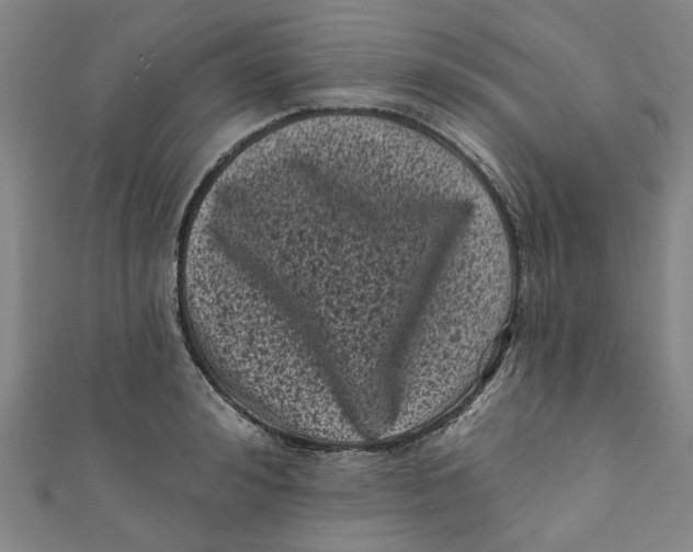 X0000110940992200907101243