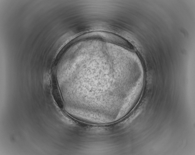 X0000110940993200907101243