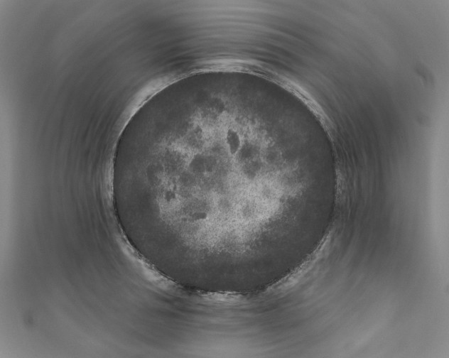 X0000110940994200907101243