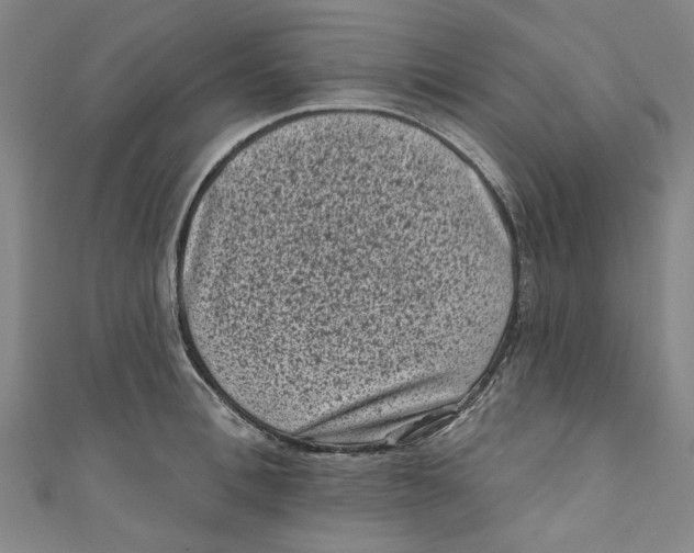 X0000110940996200907101243