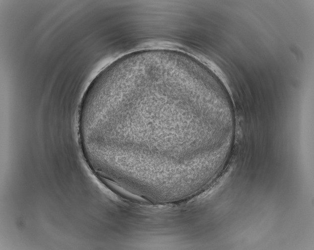 X0000110940997200907101243