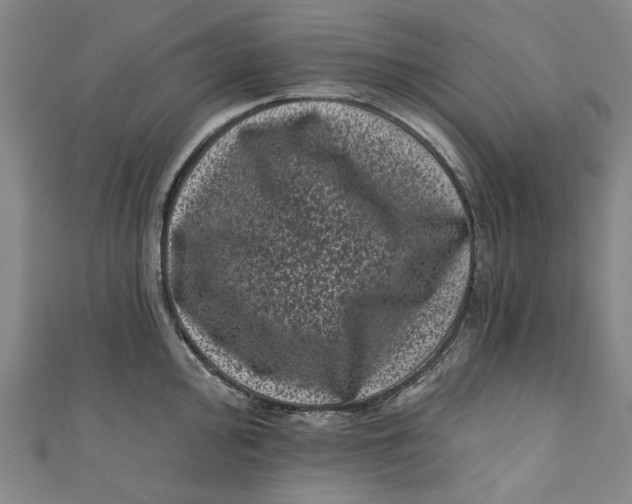 X0000110941000200907101243