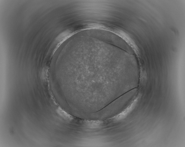 X0000110941001200907101243