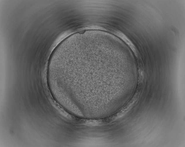 X0000110941002200907101243