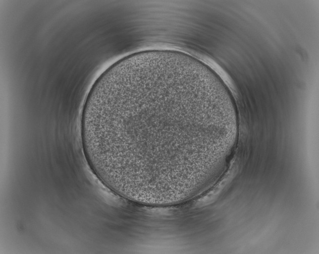 X0000110941004200907101243