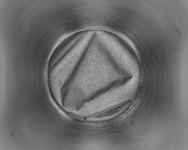 X0000110941005200907101243