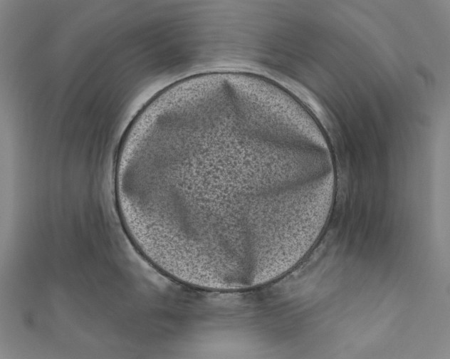 X0000110941006200907101243