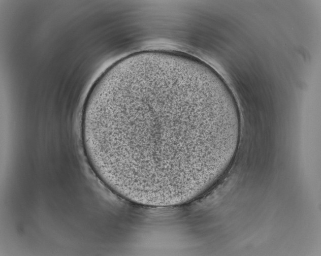 X0000110941008200907101243