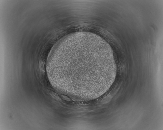 X0000110941010200907101242