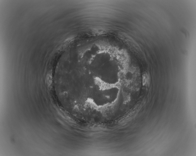 X0000110941011200907101242