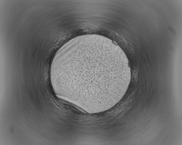 X0000110941012200907101242