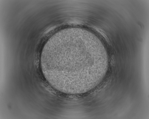 X0000110941015200907101242