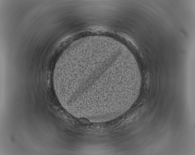 X0000110941016200907101242