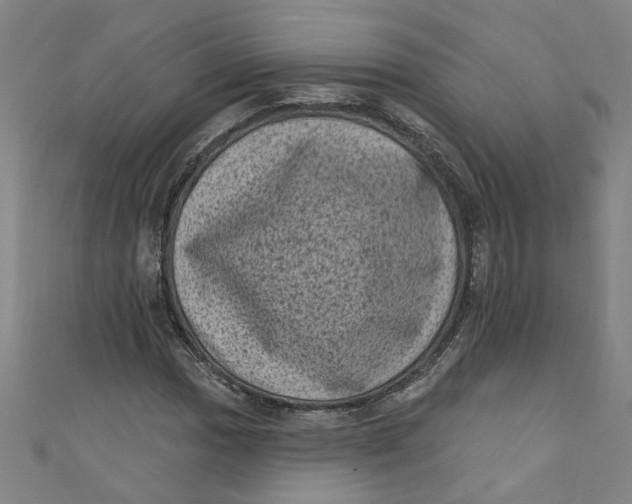 X0000110941017200907101242