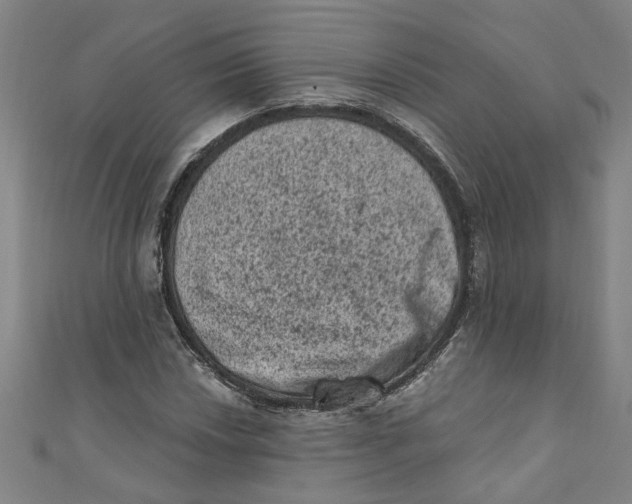 X0000110941018200907101242