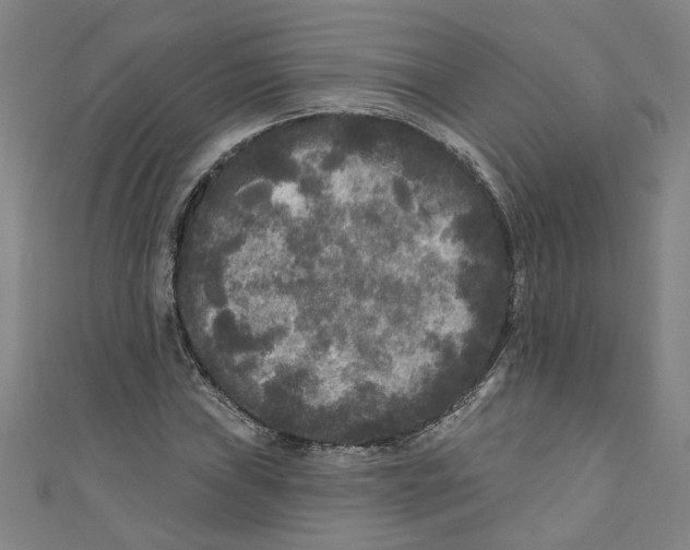 X0000110941019200907101242