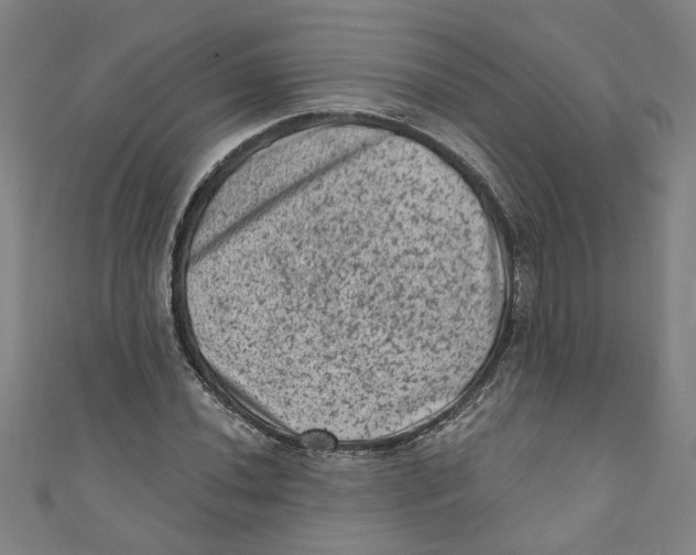 X0000110941020200907101242