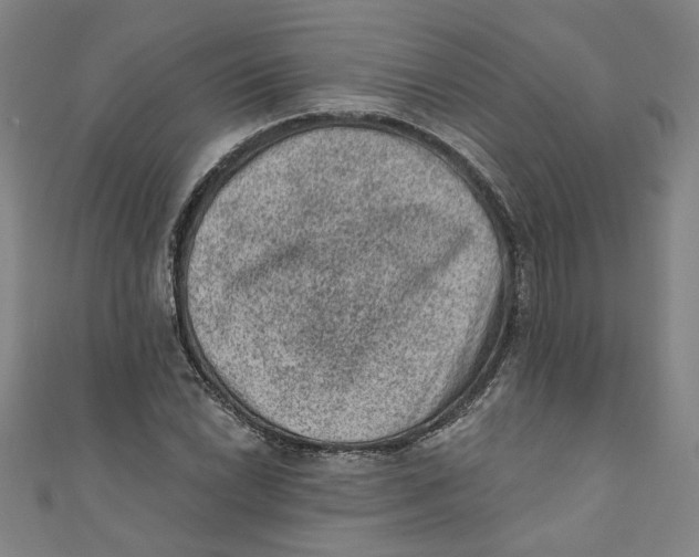 X0000110941022200907101243