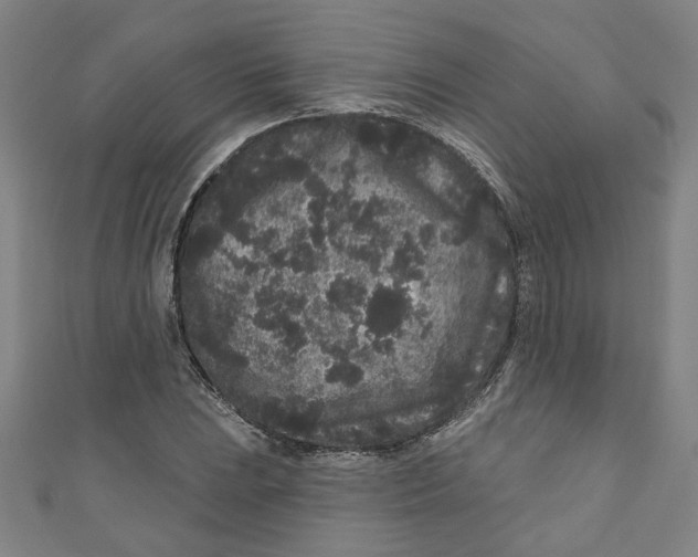 X0000110941023200907101243