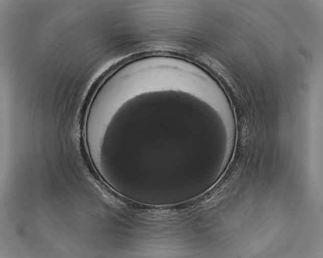 X0000110941024200907101243