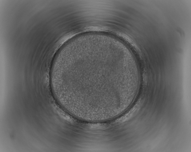 X0000110941025200907101243