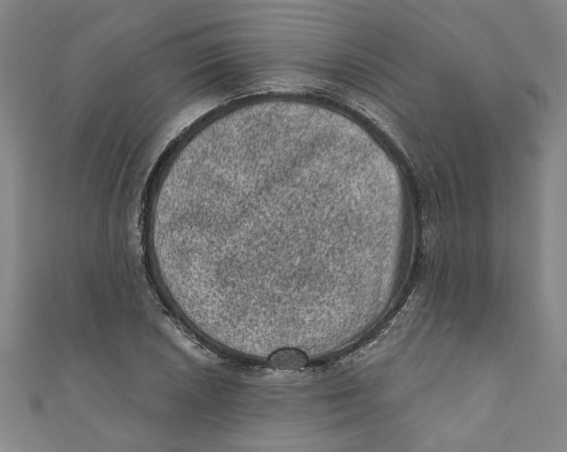 X0000110941026200907101243