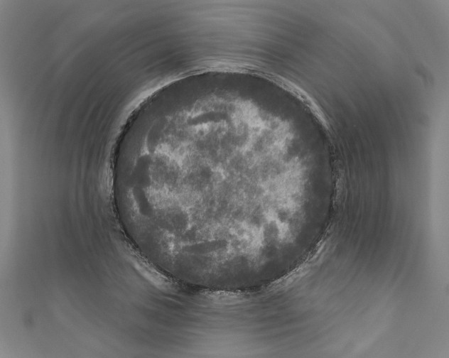 X0000110941027200907101243