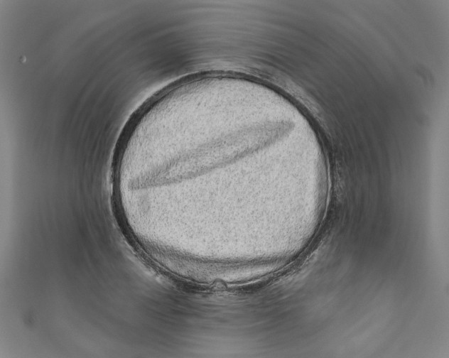 X0000110941028200907101243