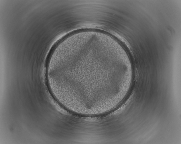 X0000110941029200907101243