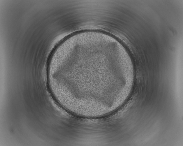 X0000110941030200907101243