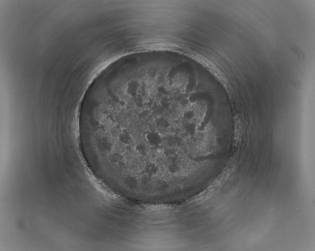 X0000110941031200907101243