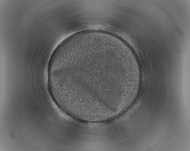 X0000110941032200907101243